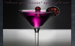 infuse your booze spice gift set